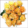 Special Memory - Click here to View more details about this Product